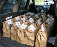 group of grocery sacks