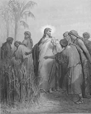 disciples picking grain