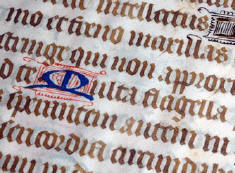 lettering