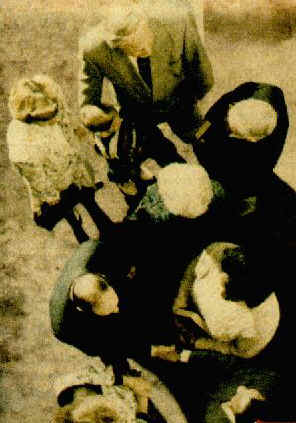 arial view of people talking