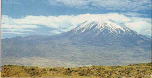 Mt. Ararat