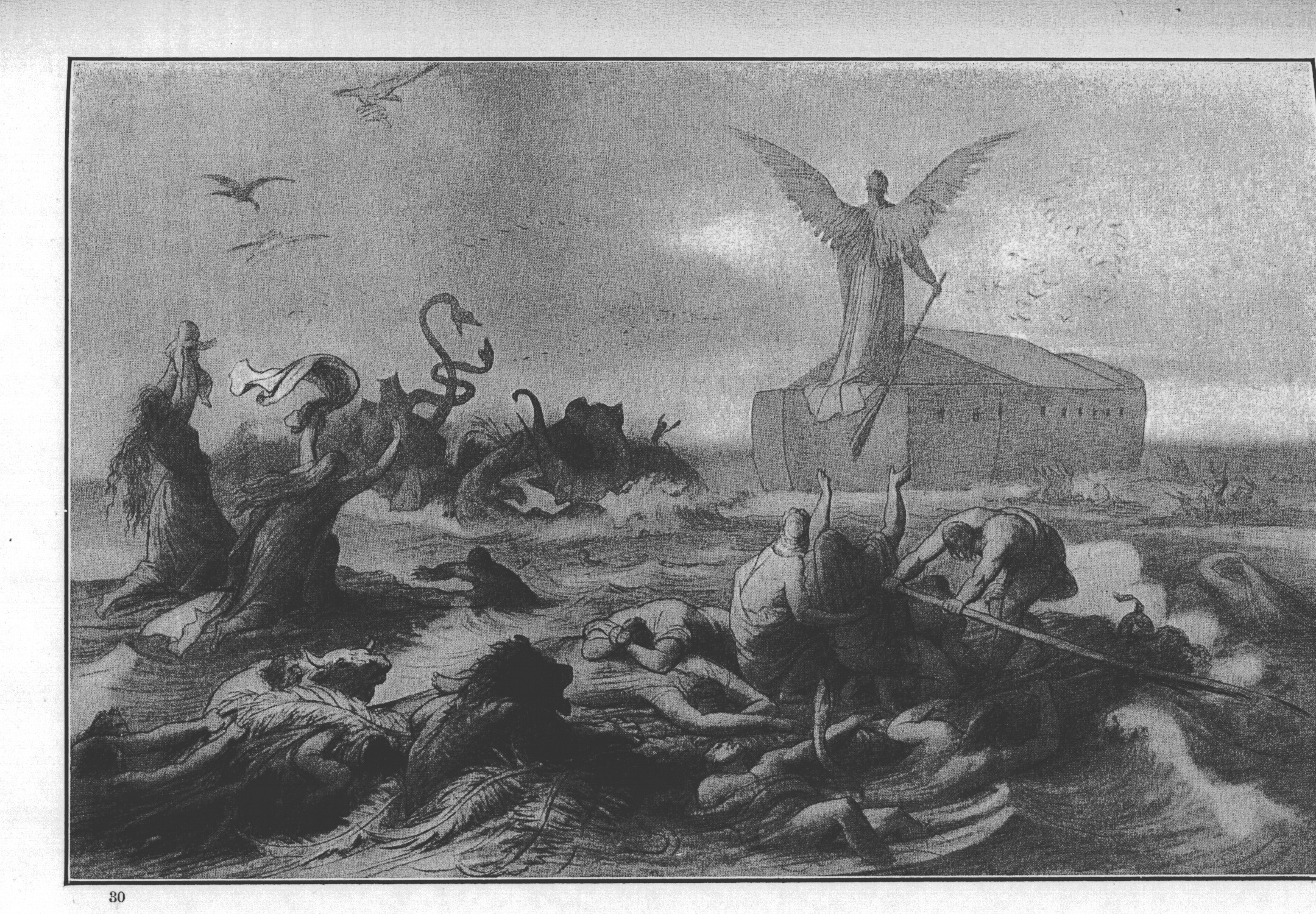 Bible Flood