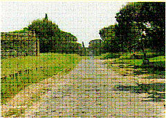 path