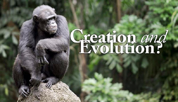 creationism vs evolution facts