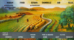 Leviticus 23 Feasts Chart